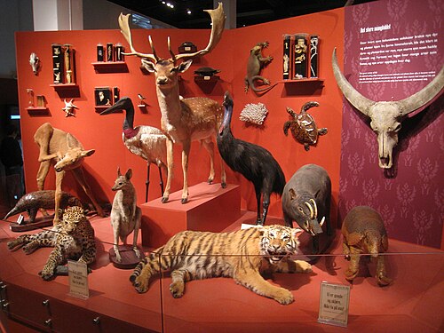 An array of zoological specimens at the Natural History Museum at the University of Oslo
