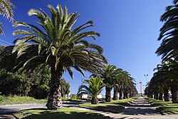 The end of Francisco De Aguirre Avenue.