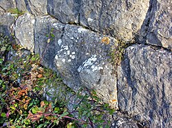 Saint Agatha's breasts sculpted in the fortification walls at Mons, Var in the south of France