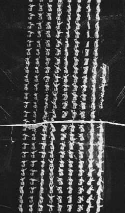 Sheet of images from one of the three Monkeyshines films (c. 1889–90) produced as tests of an early version of the Kinetoscope