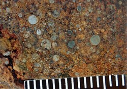 Chondrules in the chondrite classification Grassland. A millimeter scale is shown.