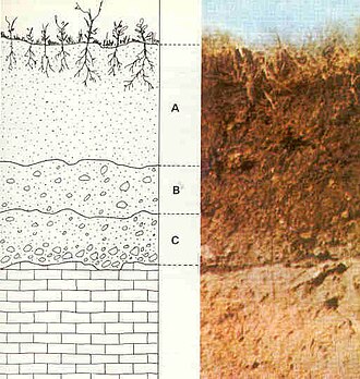 Soil layers, from soil down to bedrock: A represents soil; B represents laterite, a regolith; C represents saprolite, a less-weathered regolith; below C is bedrock