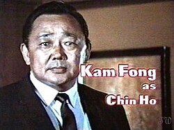 Kam Fong Chun played Chin Ho Kelly.