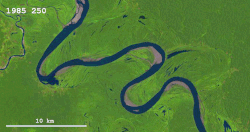 An animated GIF of the Ucayali River meandering between 1986 and 2013.