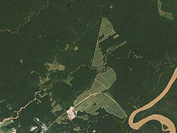 Deforestation in Bolivia.