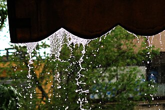 Rain water flux from a canopy. Among the forces that govern drop formation: surface tension by cohesion, Van der Waals force, Plateau–Rayleigh instability.