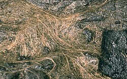 Pele's hair, a volcanic glass in strands