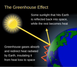 Greenhouse gases allow sunlight to pass through the atmosphere, heating the planet, but then absorb and redirect the infrared radiation (heat) the planet emits.