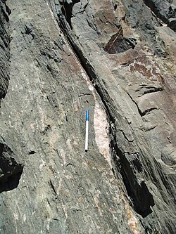 Boudinaged quartz vein (with strain fringe) showing sinistral shear sense, Starlight Pit, Fortnum Gold Mine, Western Australia