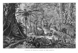 Bates's 1863 The Naturalist on the River Amazons