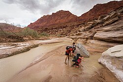 A group of hikers encountering quicksand on the banks of the Paria River, Utah