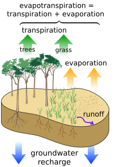 Water balance