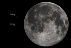 Size comparison between Phobos, Deimos and the Moon (right)