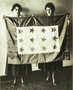 Suffrage service flag of the NAWSA (1918)