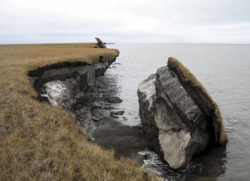 Severe coastal erosion on the Arctic Ocean coast of Alaska.