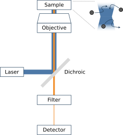 A basic diagram of a fluorescence correlation spectroscopy instrument.