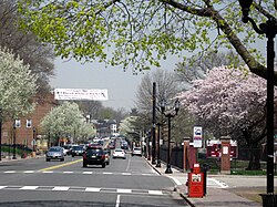 Franklin Avenue, a main shopping street