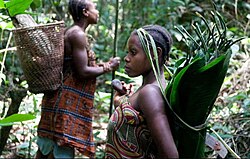 African Pygmies in Congo