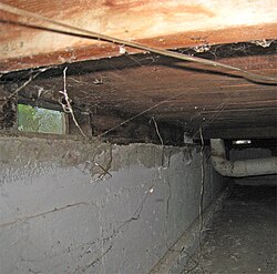 A typical crawl space showing crawl space vents and concrete rat-proofing. Rat-proofing is a thin, irregular concrete covering applied over the soil to prevent rodents from burrowing under the foundation wall and entering the crawl space.