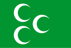 An Ottoman war banner in green