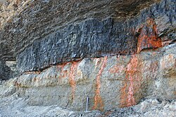 Coastal exposure of the Point Aconi Seam in Nova Scotia