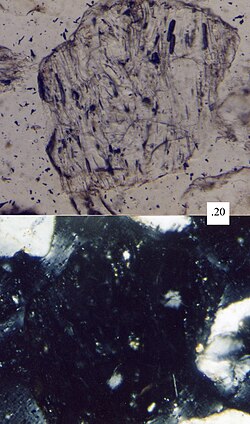 A sand grain of volcanic glass under the petrographic microscope. Its amorphous nature makes it disappear in cross-polarized light (bottom frame). The scale box is in millimeters.