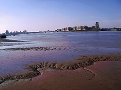 Quicksand on the shore of the River Thames. Quicksand demonstrates thixotropy in the form of shear thinning, in that it is solid when at rest, but quickly liquefies when agitated.