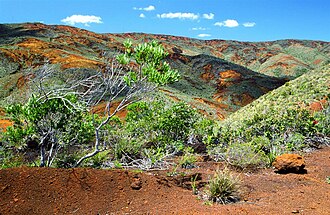 Landscape in the south of New Caledonia