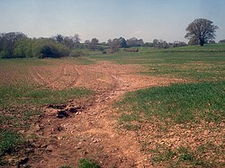 Tilled farmland such as this is very susceptible to erosion from rainfall, due to the destruction of vegetative cover and the loosening of the soil during plowing.