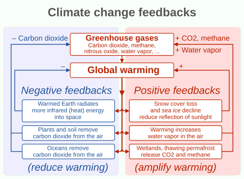 Some effects of global warming can either enhance (positive feedbacks such as the ice-albedo feedback) or inhibit (negative feedbacks) warming.[37][38]