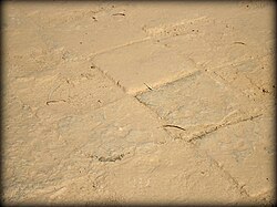Original tiles of the processional street. Ancient Babylon, Mesopotamia, Iraq.