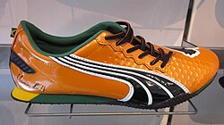 A Puma Street Yaam