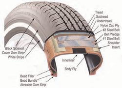 Components of a radial tire