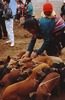 Chichicastenango Market, 1996