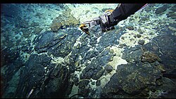 Basaltic rocks of the Mid-Atlantic Ridge observed by the Hercules ROV during the 2005 Lost City Expedition