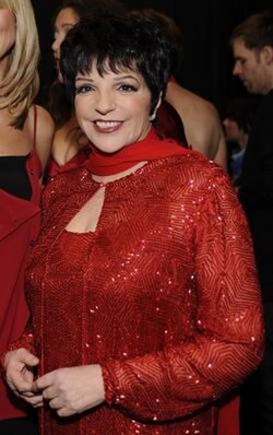 Liza Minnelli's Grammy is a non-competitive award.