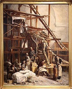 Louis Dollo supervising the mounting of an Iguanodon skeleton, c. 1882–1885