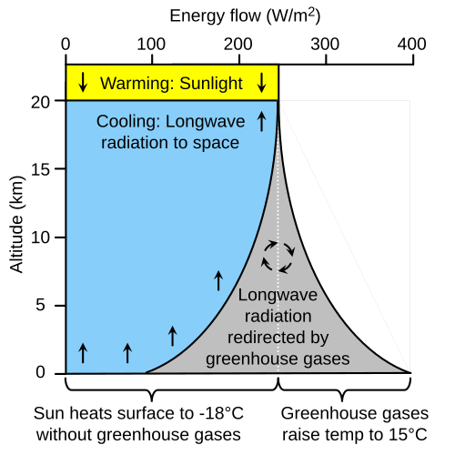 Energy flows down from the sun and up from the Earth and its atmosphere. When greenhouse gases absorb radiation emitted by Earth's surface, they prevent that radiation from escaping into space, causing surface temperatures to rise by about 33 °C (59 °F).