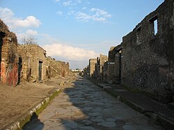 The buildings on the left show signs of decay due to the infestation of various plants, while the debris accumulating on the footpath indicates erosion of the infrastructure. The footpaths and road have also been worn down by pedestrian activity since excavation.