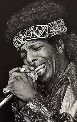 Stone performing at the Keystone Berkeley in 1982