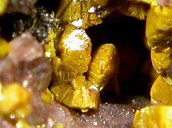 Carnotite (yellow) is a radioactive uranium-bearing mineral.