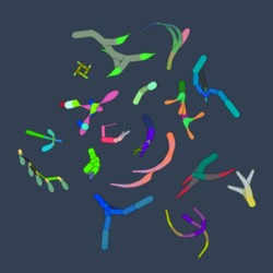 A selection of simulated "swimbots"