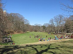 Preparations for a spring game of quidditch