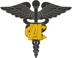 WWI Army Nurses Corps Insignia