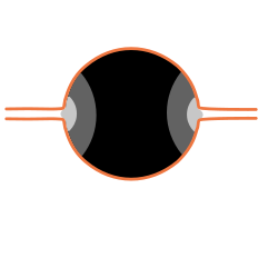 O-ring mounting for an ultra-high vacuum application.[9] Pressure distribution within the cross-section of the O-ring. The orange lines are hard surfaces, which apply high pressure. The fluid in the seams has lower pressure. The soft O-ring bridges the pressure over the seams.