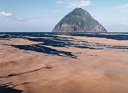 Pumice rafts from the eruption of Fukutoku-Okanoba submarine volcano in 1986, seen from a ship