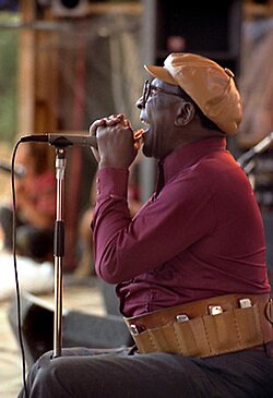 Sonny Terry (1981) (Michale Bennets, photographer)