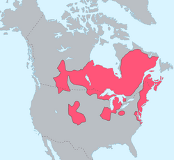 Algonquian languages prior to European settlements