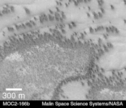 Dark dune spots