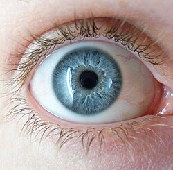 Blue eyes